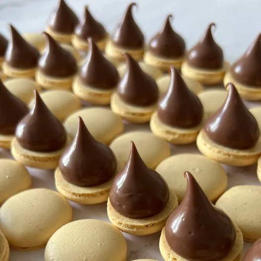 Chocolate Ice Cream With Passion Fruit