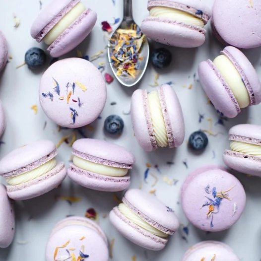 Lavender / Blueberry