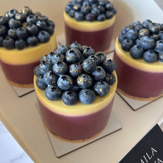 Blueberry / Mango (No Bake)