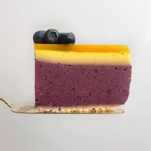 Blueberry / Mango (No Bake)