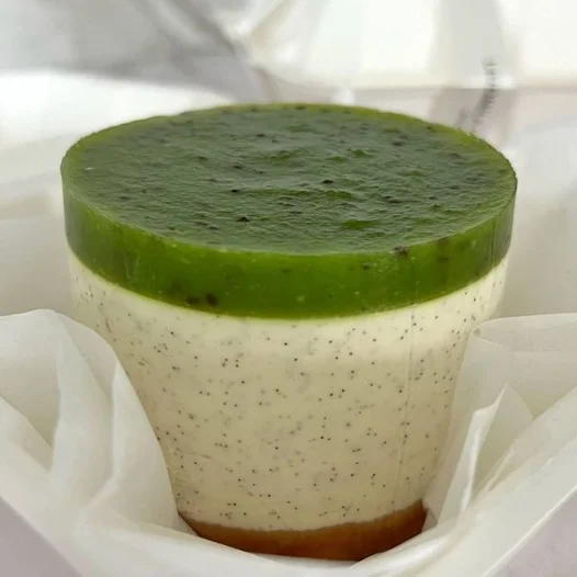 Vanilla / Kiwi (bento)