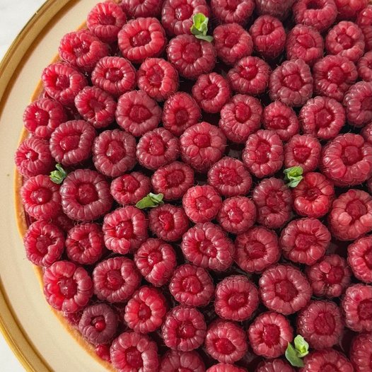Tarts №1