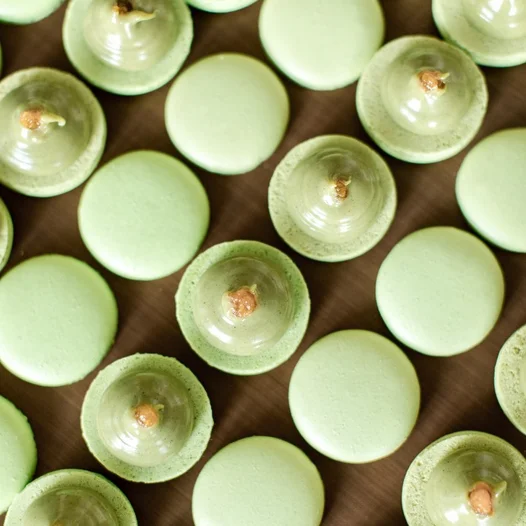 Pistachio Cream With Apricot